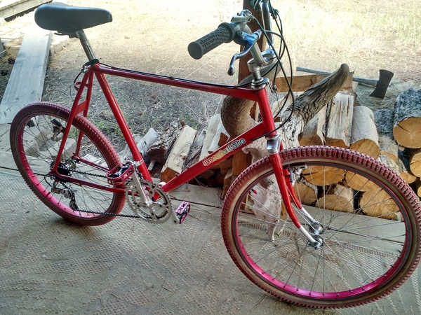 1982 Boogie Bike 