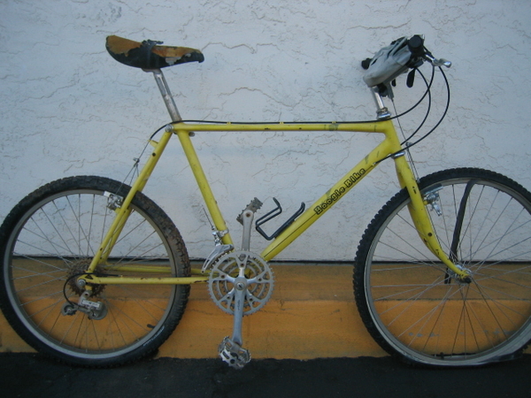 1984 Boogie Bike 