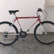 1988.jpg