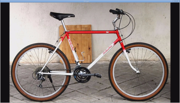 1989 Yeti 