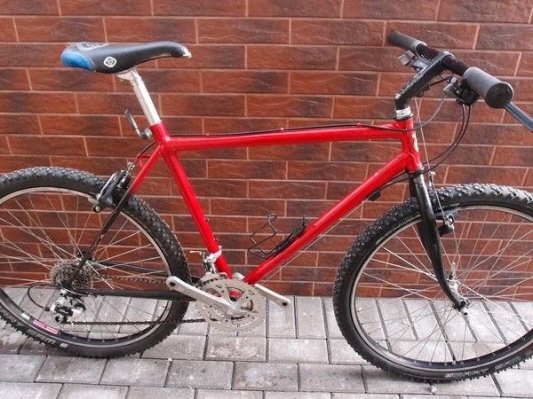 1991 Mountain Bike 