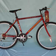 1993.jpg