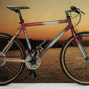 1994.jpg