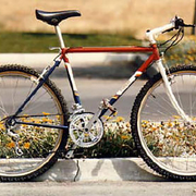 1985.jpg