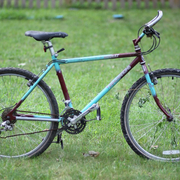 1995.jpg