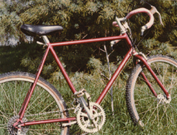 1981 Ibis 