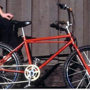 1977crop.jpg