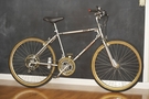 http://mombatbicycles.com/MOMBAT/Bikes/1981_Murray_Baja.html
...